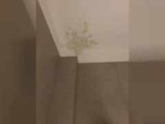 Detekcija curenja na vlažnom zidu
